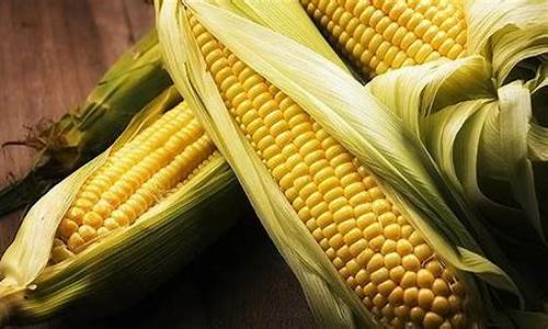 期货玉米在线直播(期货玉米最新行情)_https://www.qldgs.com_国际期货_第1张