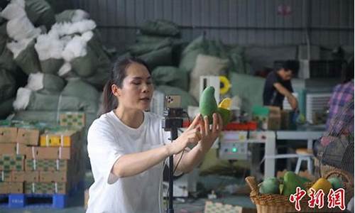 芒果期货财经直播室(湖南芒果财富网络科技有限公司)_https://www.qldgs.com_国际期货_第1张