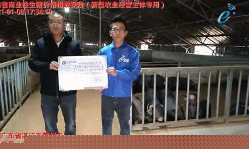 生猪期货频道直播(生猪期货怎么买)_https://www.qldgs.com_内盘期货_第1张