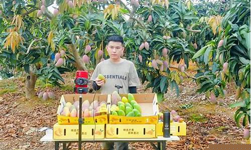 芒果期货直播卖货(芒果交易平台)_https://www.qldgs.com_内盘期货_第1张