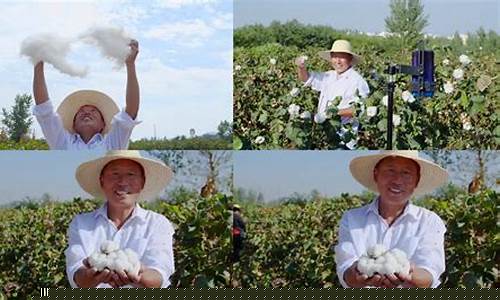 棉花期货直播视频(棉花期货交易)_https://www.qldgs.com_内盘期货_第1张