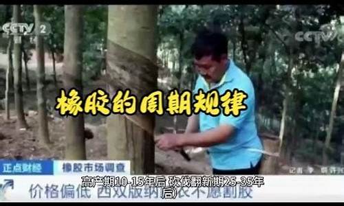 快手直播炒橡胶期货(快手直播期货看盘)_https://www.qldgs.com_国际期货_第1张