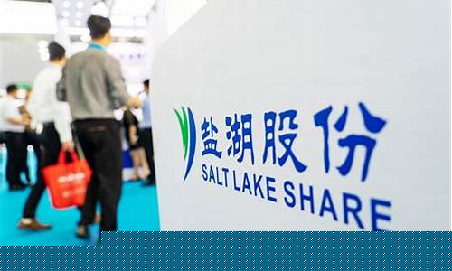 盐湖股份折价(盐湖股份最高价是多少)_https://www.qldgs.com_期货_第1张