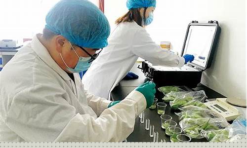 食品包装材料检测机(食品包装盒检测)_https://www.qldgs.com_内盘期货_第1张