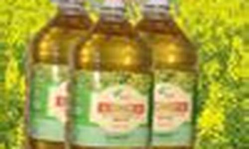 菜油2303期货最新行情分析_https://www.qldgs.com_黄金期货_第1张