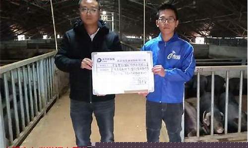 生猪2112期货最新行情(生猪2109期货行情)_https://www.qldgs.com_原油期货_第1张