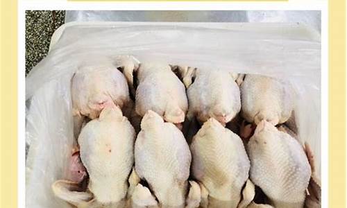 期货冻鸡波动(鸡肉期货市场)_https://www.qldgs.com_原油期货_第1张