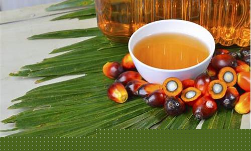 期货棕油行情(棕油期货价格行情价格)_https://www.qldgs.com_原油期货_第1张