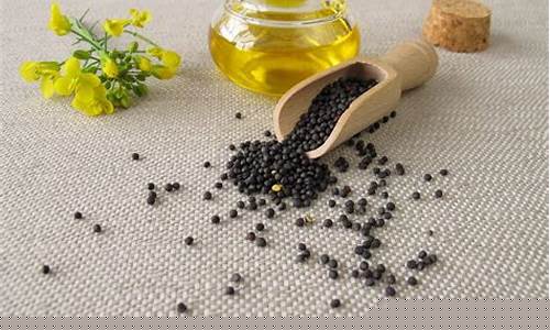 菜籽油期货指的是什么行情(菜籽油行情走势图)_https://www.qldgs.com_恒指期货_第1张