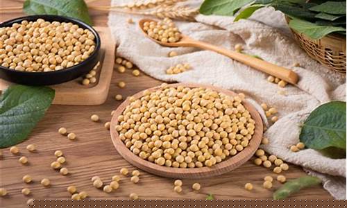 大豆期货交易是什么意思(大豆期货是啥意思)_https://www.qldgs.com_原油期货_第1张