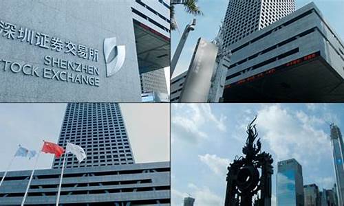 深圳联合期货交易所(深圳联合宠物医院)_https://www.qldgs.com_内盘期货_第1张