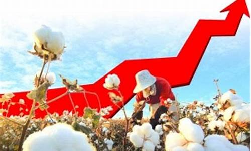棉花期货交易时间跟美国的对比(棉花期货和什么有关)_https://www.qldgs.com_期货_第1张