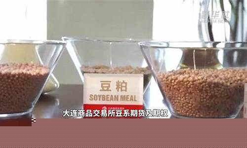 境外期货交易所管理(境外期货交易软件)_https://www.qldgs.com_期货_第1张