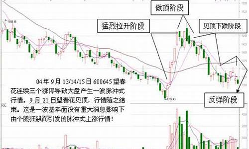 期货中脉冲的行情_https://www.qldgs.com_恒指期货_第1张
