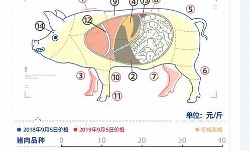 猪肉涨价后的各种影响(猪肉涨价后的各种影响有哪些)_https://www.qldgs.com_恒指期货_第1张
