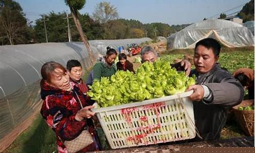 农村不愁销路的生意(农村不愁销路的生意有哪些)_https://www.qldgs.com_原油期货_第1张