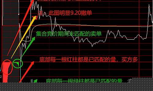 最后集合竞价大单买入(集合竞价大单买入什么意思)_https://www.qldgs.com_期货_第1张