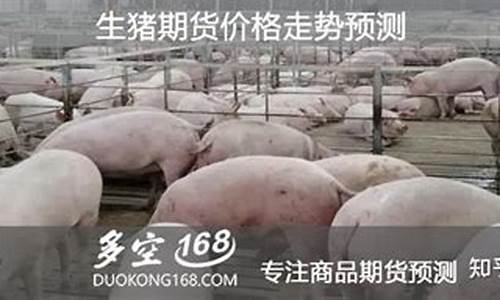 生猪2401期货合约资料(生猪期货2201什么意思)_https://www.qldgs.com_原油期货_第1张
