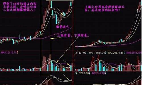 股票机构评分怎么看(股票怎么看机构进场)_https://www.qldgs.com_原油期货_第1张