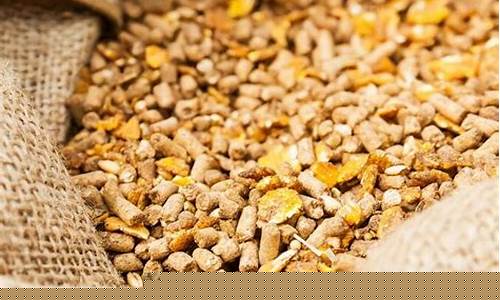 猪饲料批发价格多少钱一斤(猪饲料批发价格多少钱一斤合适)_https://www.qldgs.com_黄金期货_第1张