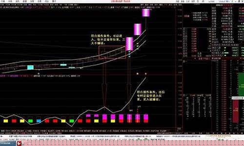 双紫擒龙战法的指标用法(双龙紫穿红)_https://www.qldgs.com_原油期货_第1张