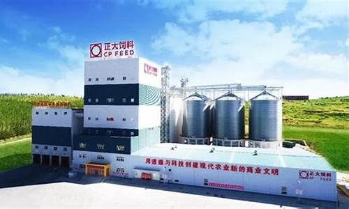正大饲料总厂在哪里(正大饲料总厂在哪里啊)_https://www.qldgs.com_黄金期货_第1张
