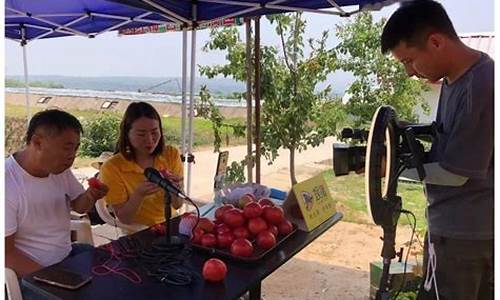 西红柿财经直播室(西红柿财经)_https://www.qldgs.com_国际期货_第1张