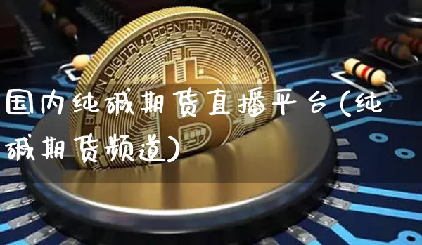 国内纯碱期货直播平台(纯碱期货频道)_https://www.qldgs.com_原油期货_第1张