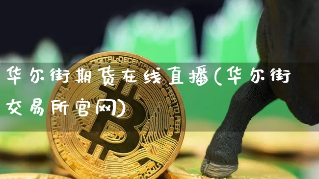 华尔街期货在线直播(华尔街交易所官网)_https://www.qldgs.com_黄金期货_第1张