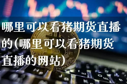 哪里可以看猪期货直播的(哪里可以看猪期货直播的网站)_https://www.qldgs.com_原油期货_第1张