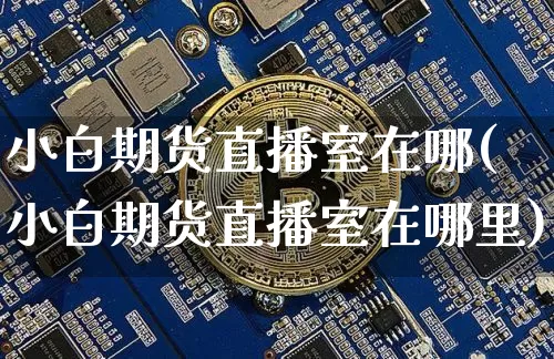 小白期货直播室在哪(小白期货直播室在哪里)_https://www.qldgs.com_内盘期货_第1张