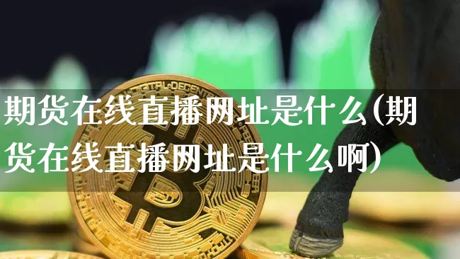 期货在线直播网址是什么(期货在线直播网址是什么啊)_https://www.qldgs.com_内盘期货_第1张