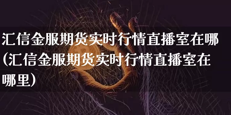 汇信金服期货实时行情直播室在哪(汇信金服期货实时行情直播室在哪里)_https://www.qldgs.com_内盘期货_第1张