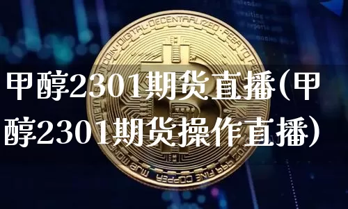 甲醇2301期货直播(甲醇2301期货操作直播)_https://www.qldgs.com_恒指期货_第1张