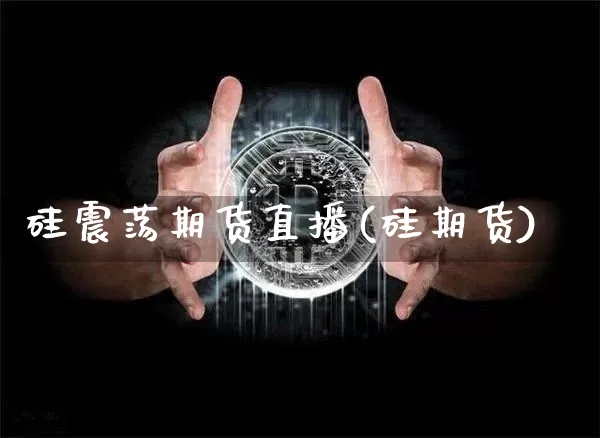 硅震荡期货直播(硅期货)_https://www.qldgs.com_黄金期货_第1张