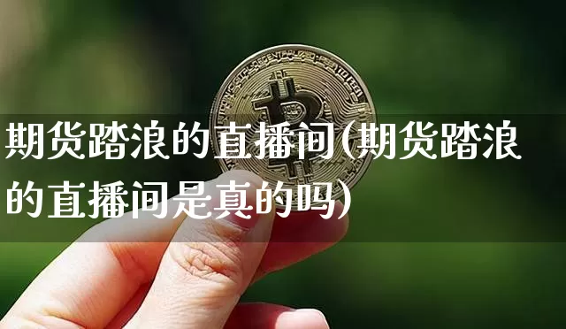 期货踏浪的直播间(期货踏浪的直播间是真的吗)_https://www.qldgs.com_黄金期货_第1张