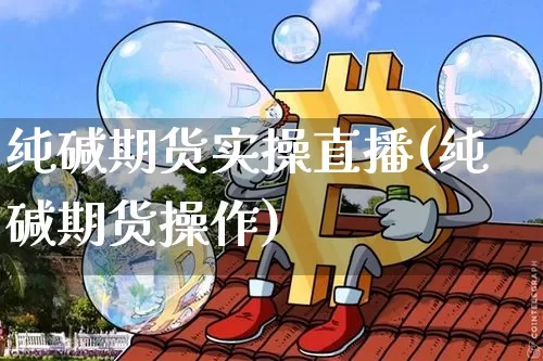 纯碱期货实操直播(纯碱期货操作)_https://www.qldgs.com_恒指期货_第1张