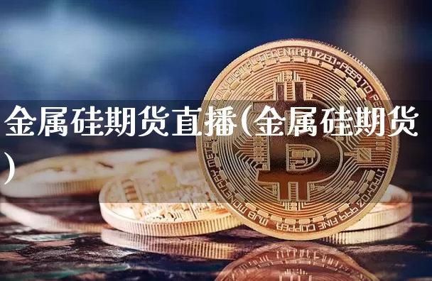 金属硅期货直播(金属硅期货)_https://www.qldgs.com_恒指期货_第1张