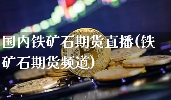 国内铁矿石期货直播(铁矿石期货频道)_https://www.qldgs.com_国际期货_第1张