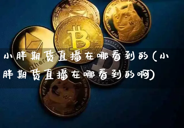 小胖期货直播在哪看到的(小胖期货直播在哪看到的啊)_https://www.qldgs.com_恒指期货_第1张