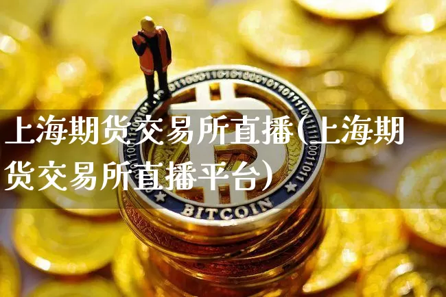 上海期货交易所直播(上海期货交易所直播平台)_https://www.qldgs.com_内盘期货_第1张