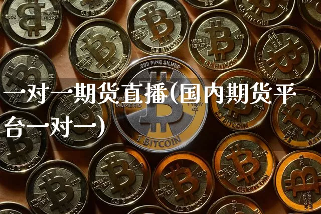 一对一期货直播(国内期货平台一对一)_https://www.qldgs.com_内盘期货_第1张