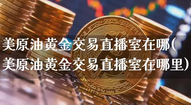 美原油黄金交易直播室在哪(美原油黄金交易直播室在哪里)_https://www.qldgs.com_原油期货_第1张