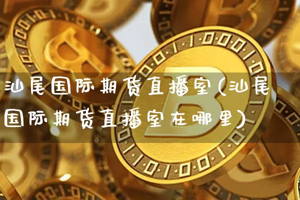 汕尾国际期货直播室(汕尾国际期货直播室在哪里)_https://www.qldgs.com_原油期货_第1张