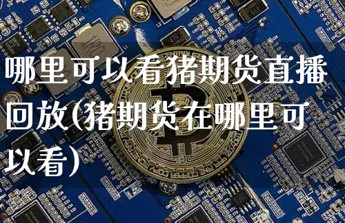 哪里可以看猪期货直播回放(猪期货在哪里可以看)_https://www.qldgs.com_原油期货_第1张