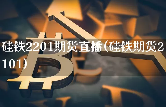 硅铁2201期货直播(硅铁期货2101)_https://www.qldgs.com_恒指期货_第1张