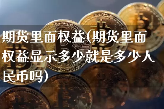 期货里面权益(期货里面权益显示多少就是多少人民币吗)_https://www.qldgs.com_国际期货_第1张