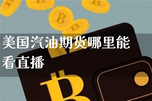 美国汽油期货哪里能看直播_https://www.qldgs.com_恒指期货_第1张