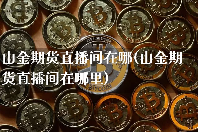 山金期货直播间在哪(山金期货直播间在哪里)_https://www.qldgs.com_原油期货_第1张