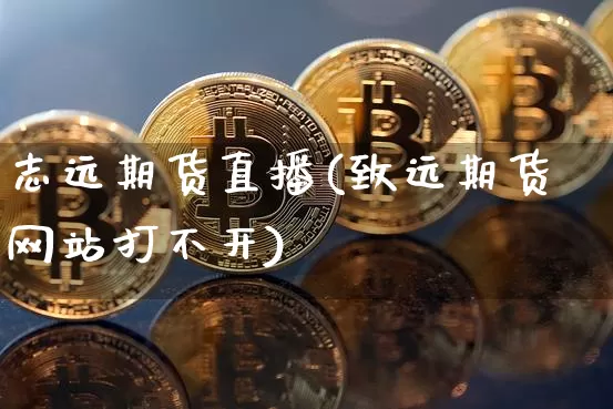 志远期货直播(致远期货网站打不开)_https://www.qldgs.com_恒指期货_第1张